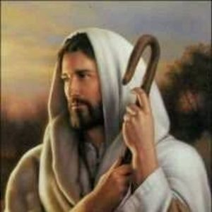 Meet your Posher, Alireza